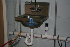 IMG_9866.JPG