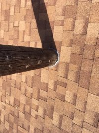 IMG_0337.jpeg