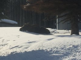 IMG_2978.JPG