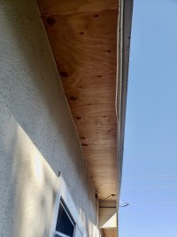 IMG_201030095350727.jpeg