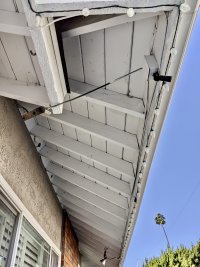 IMG_20201104_091302.jpeg