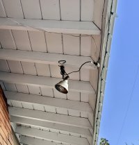IMG_20201104_091313.jpeg
