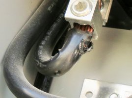 IMG_7532.jpeg
