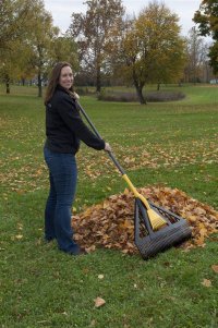 rake.jpg