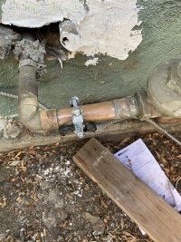 IMG_9656.jpeg