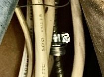 IMG_7001.jpeg