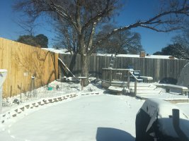 BBCFD434-2205-4F1F-B3CB-3C01AB4BB607.jpeg