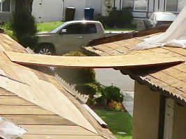 IMG_6021.JPG