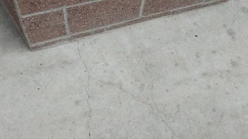 IMG_20210701_120818266.jpg