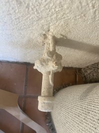 IMG_0676.jpeg