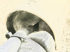 IMG_3547 2.JPG