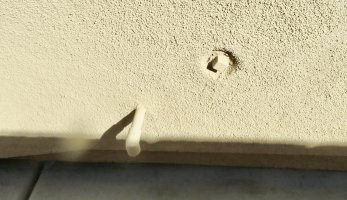 IMG_3526.JPG