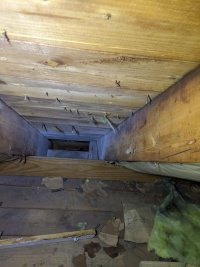 Attic#2.jpg