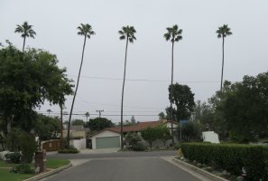IMG_4655.JPG