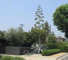 IMG_5383.JPG