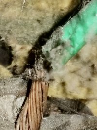 20200916_090351 2.jpg