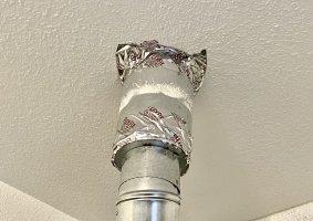 IMG_2060.jpeg