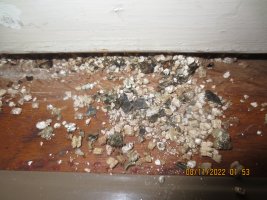 vermiculite.JPG