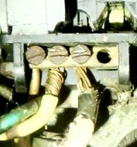 IMG_3869.JPG