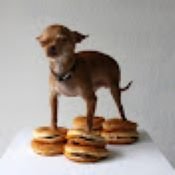 1661161846317.jpeg