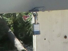 IMG_3947 2.JPG
