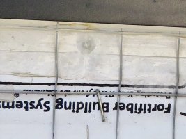 IMG_3991.JPG