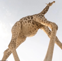 1668306983252.png