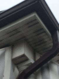 IMG_9235.JPG