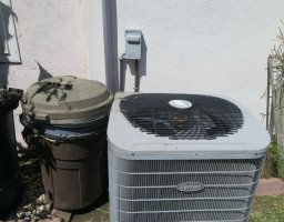 IMG_0059.JPG