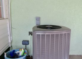 IMG_3955.JPG IMG_3955.JPG