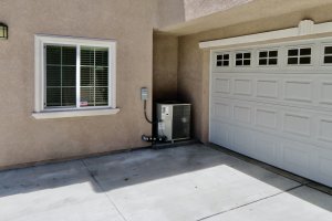 IMG_5298.JPG