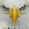 EgressMonster