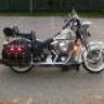 97Springer